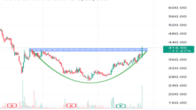 Nuvoco Share Price